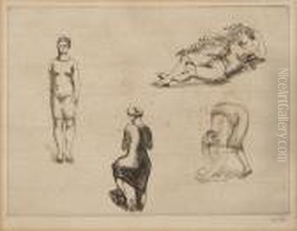 Studies - view 1