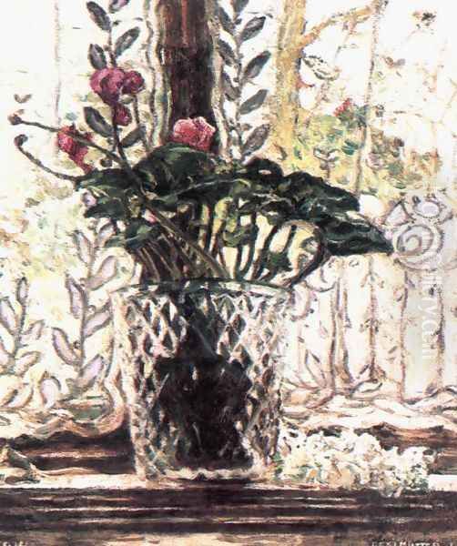 Cyclamen 1914 - view 1