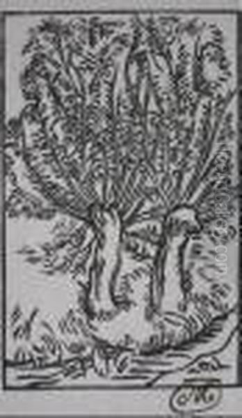Trees - view 1