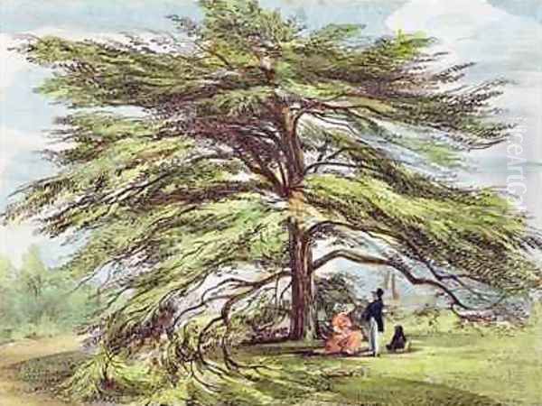 The Lebanon Cedar Tree in the Arboretum, Kew Gardens, plate 21 from Kew Gardens A Series of Twenty-Four Drawings on Stone, engraved by Charles Hullmandel 1789-1850 published 1820 - view 1