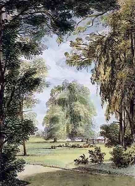 The Sister Trees, Kew Gardens, plate 8 from Kew Gardens A Series of Twenty-Four Drawings on Stone, engraved by Charles Hullmandel 1789-1850 published 1820 - view 1