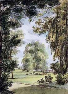 The Sister Trees, Kew Gardens, plate 8 from Kew Gardens A Series of Twenty-Four Drawings on Stone, engraved by Charles Hullmandel 1789-1850 published 1820
