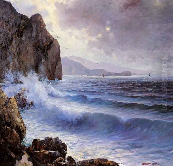 A Rocky Coast - view 1