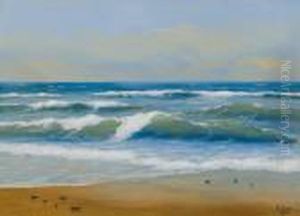 Sea Shore Sea Shore