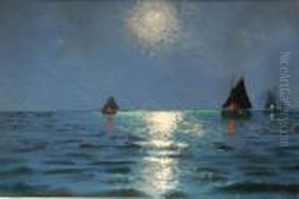 Nocny Polow - view 1