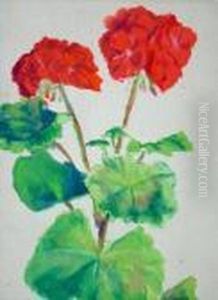 Pelargonia Niesygnowany (na Odwrocie Pieczecautorska) by Soter Jaxa Malachowski