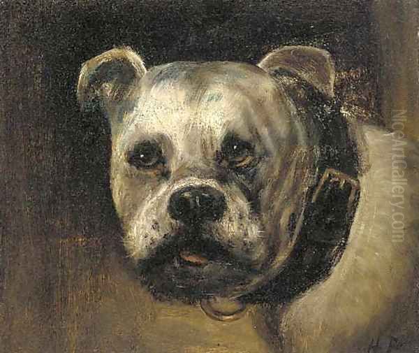 A bulldog - view 1