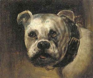 A bulldog by Henry Maurice Page