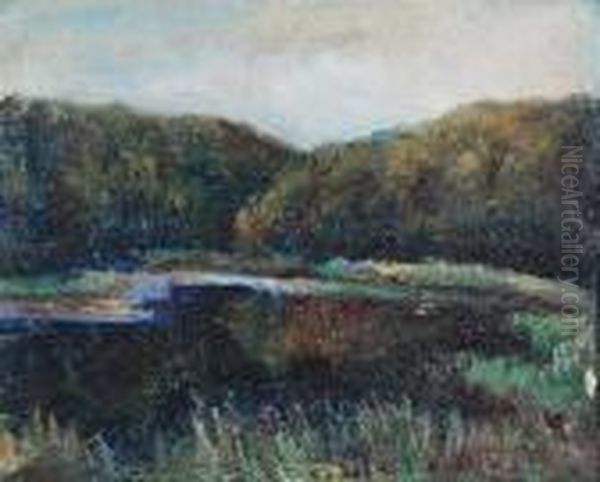 Pejzaz Lesny Z Jeziorem - view 1