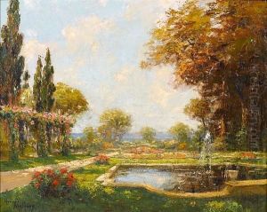 The Garden In Summer