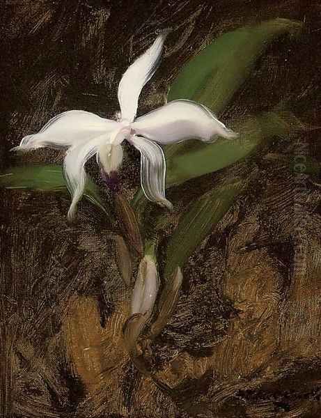 White lily - view 1