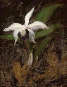 White lily
