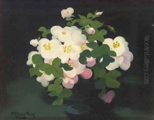 Wild roses