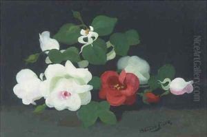 White and red roses by James Stuart Park
