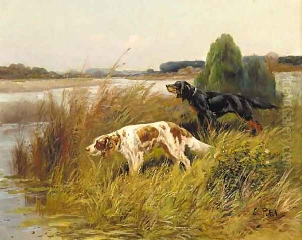 Pointers by the edge of a lake - view 1