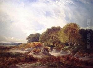 Figures On The Edge Of A Wood
