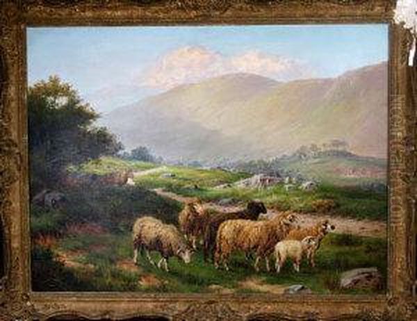 Near Talyllyn, North Wales - view 1