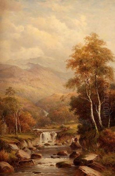 Falls Near Abberystwyth - view 1