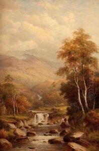 Falls Near Abberystwyth by William Henry Mander