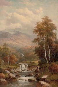 Falls, Near Aberystwyth Falls, Near Aberystwyth