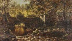Old Mill Near Dolgelly, North Wales