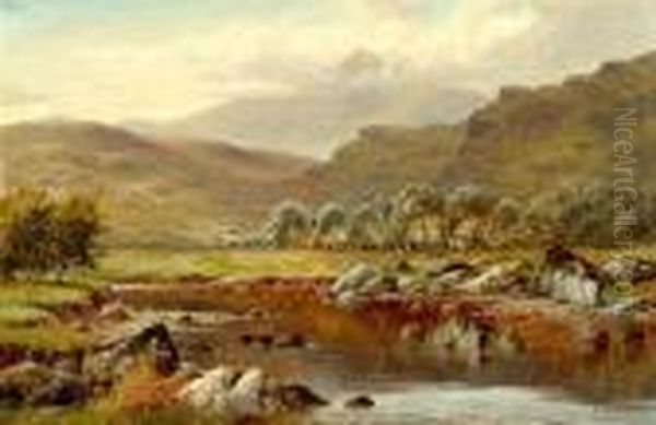 On The Llugwy - view 1