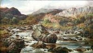 In The Valley Of The Lledr, North Wales In The Valley Of The Lledr, North Wales