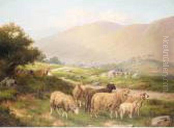 Near Talyllyn, North Wales - view 1