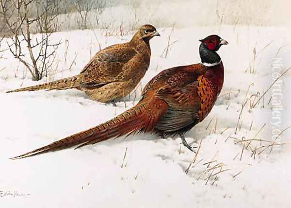 A Cock and Hen Pheasant in the Snow - view 1