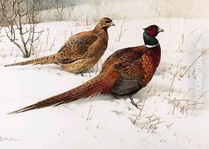 A Cock and Hen Pheasant in the Snow by Edward Penny