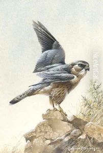 A merlin by Edward Penny