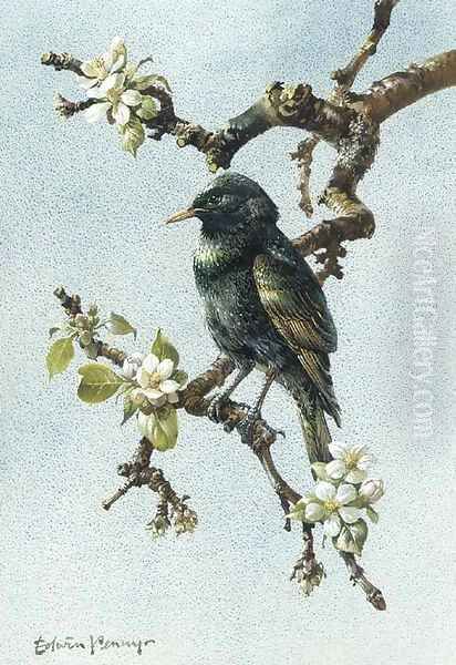 A starling - view 1