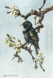 A starling by Edward Penny