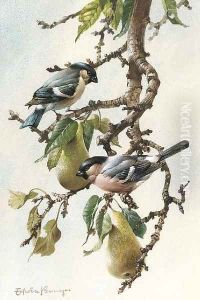Bullfinches in a pear tree by Edward Penny
