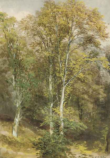Two woodland scenes - view 1