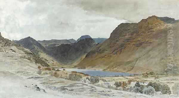 Landscape - view 1