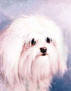 Maltese Terrier by H. Morley Park