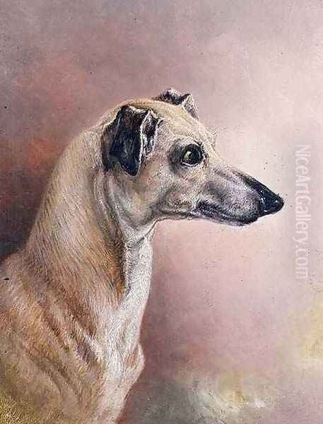 Head of a Greyhound - view 1