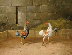 The Challenge by Hilton L. Jnr. Pratt