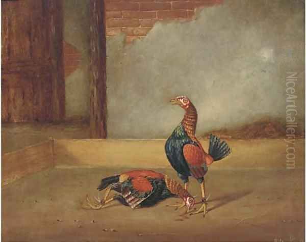 Fighting cocks, the death - view 1