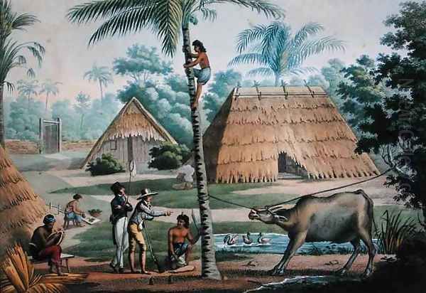 View of the Surroundings of Coupang, Timor, from Voyage Autour du Monde sur les Corvettes de LUranie 1817-20 engraved by Pomel, published 1825 - view 1