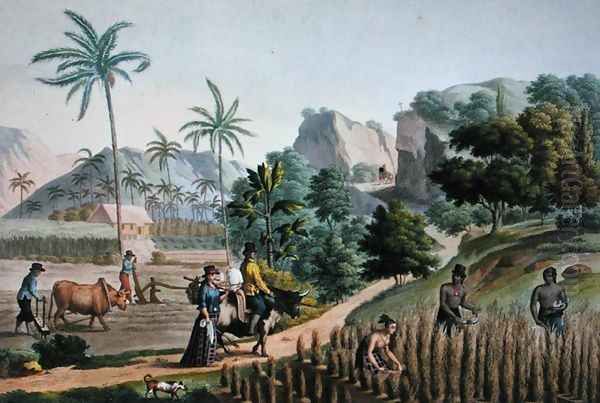 Island of Guam Agricultural Works, from Voyage Autour du Monde sur les Corvettes de LUranie 1817-20 engraved by Pomel, published 1825 - view 1