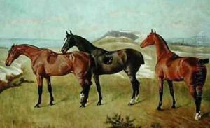 Three Horses Whissendine, Swallow and Tiptop, 1886 by George Paice