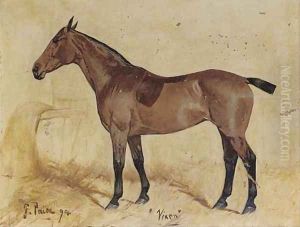 Vixen by George Paice