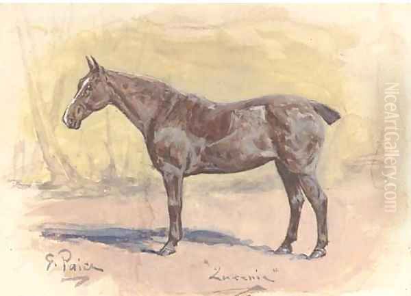 'Lucenie', a bay hunter in his stable - view 1