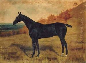 Ebony, a black Racehorse in a Landscape by George Paice