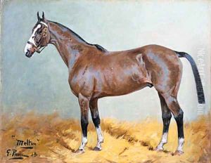 The Bay Hunter Melton by George Paice