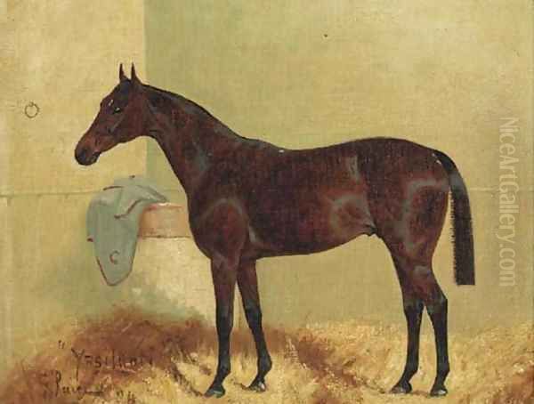 Ypsilanti, a bay hunter in a stable - view 1