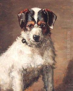 A Jack Russell Terrier