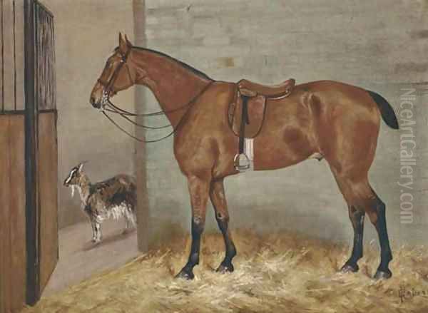 A saddled bay hunter in a stable with a goat - view 1